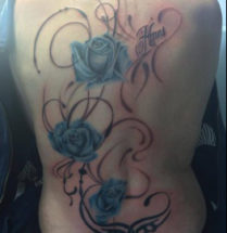 sierlijke blauwe rozen op de rug