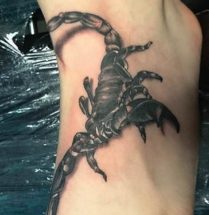 Artikel over Schorpioen tattoos