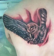 realistic owl tattoo on the back of the shoulder