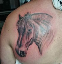 paard tattoo op de rug