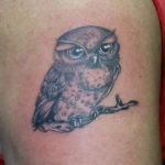 small tattoo of a cure owl by Dutchink