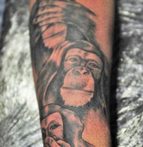 Black and grey apen tatoeage