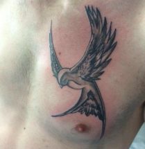 zwarte zwaluw tatoeage op de borst