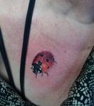 Lieveheersbeestje tattoo