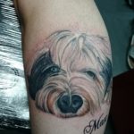 Portret hond op onderbeen