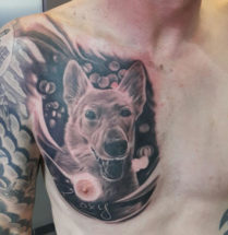 Portret hond op borst