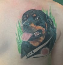 Portret hond op borst