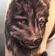Wolf op bovenarm