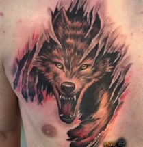 Wolf op borst